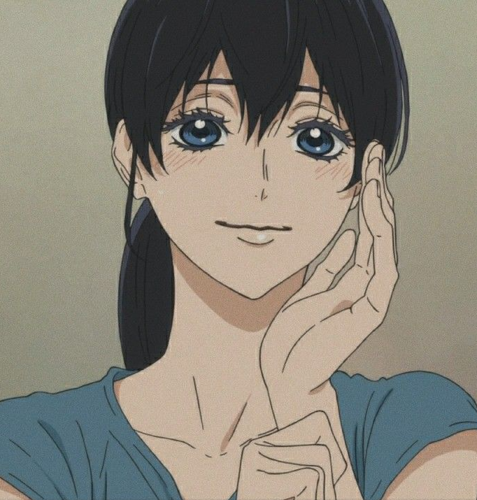 Mamoru Aikawa (Anime)