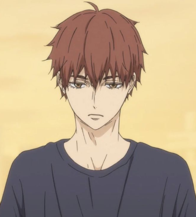 Mamoru Aikawa (Anime)