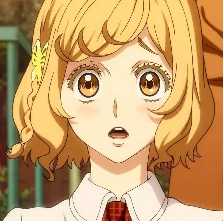 Mamoru Aikawa (Anime)