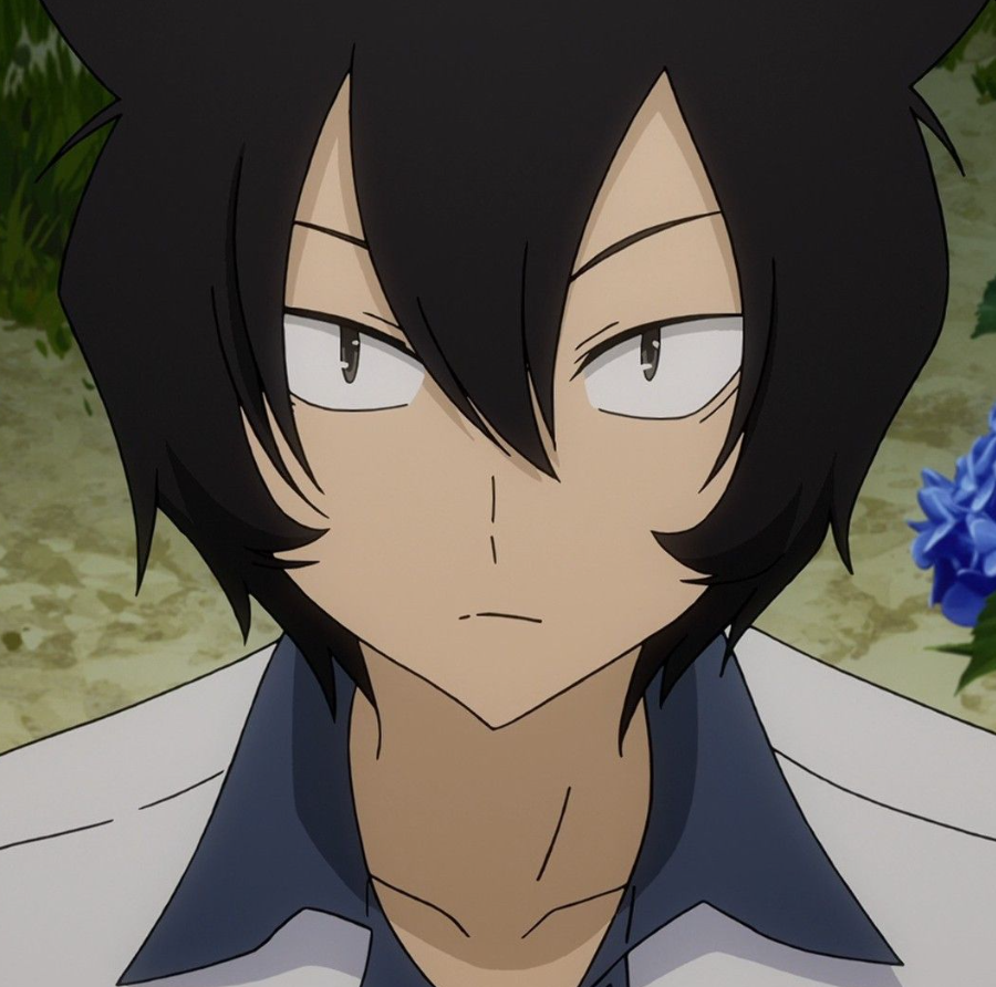 Mamoru Aikawa (Anime)