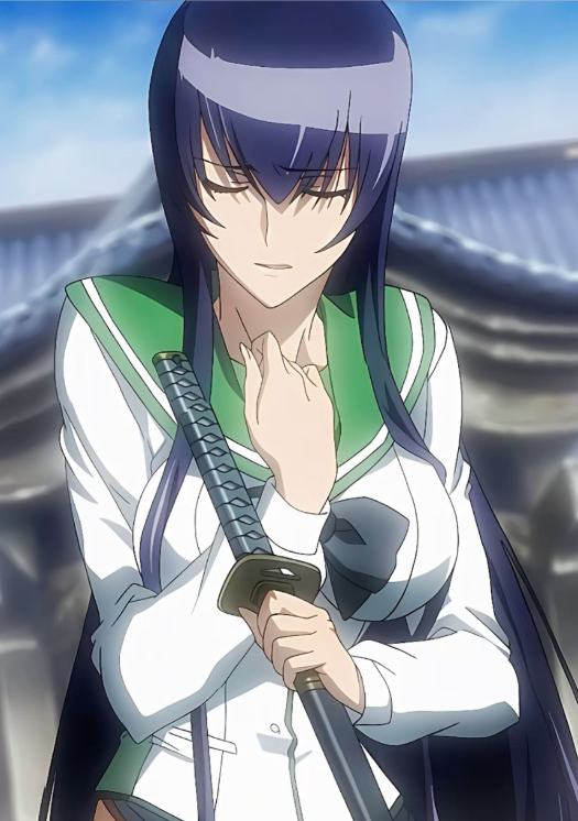 Mamoru Aikawa (Anime)