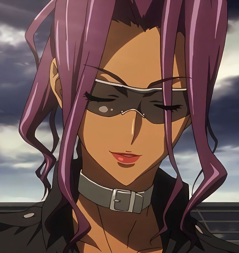 Mamoru Aikawa (Anime)