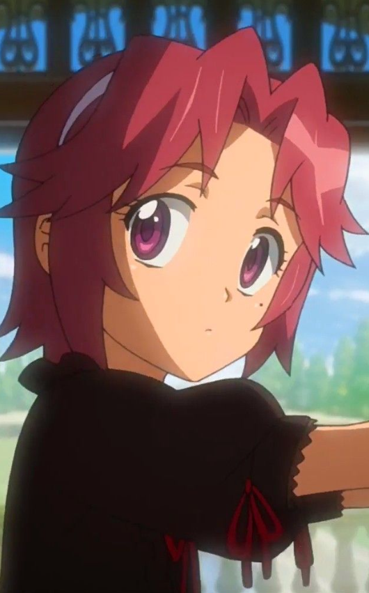 Mamoru Aikawa (Anime)