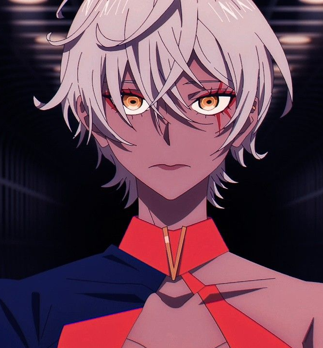 Mamoru Aikawa (Anime)