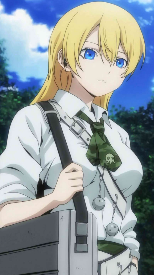 Mamoru Aikawa (Anime)