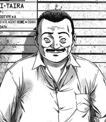 Mamoru Aikawa (Anime)