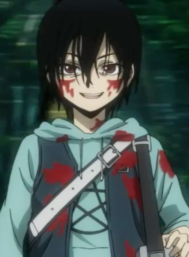 Mamoru Aikawa (Anime)