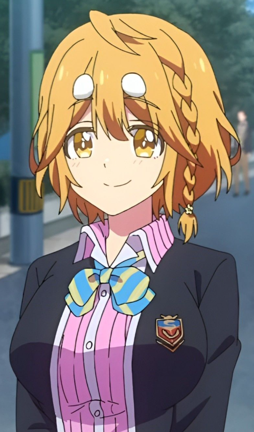 Mamoru Aikawa (Anime)