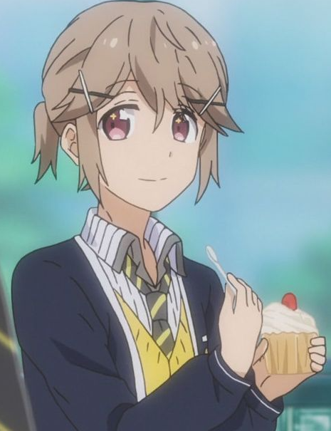 Mamoru Aikawa (Anime)