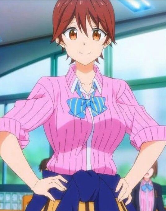 Mamoru Aikawa (Anime)