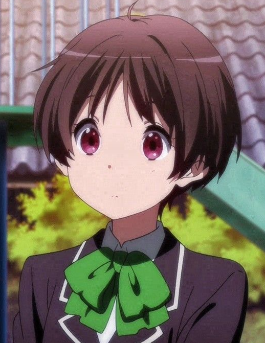 Mamoru Aikawa (Anime)