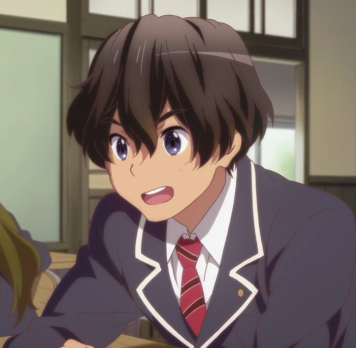 Mamoru Aikawa (Anime)