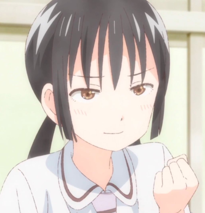 Mamoru Aikawa (Anime)