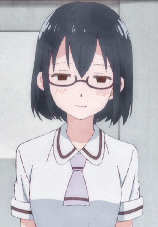 Mamoru Aikawa (Anime)