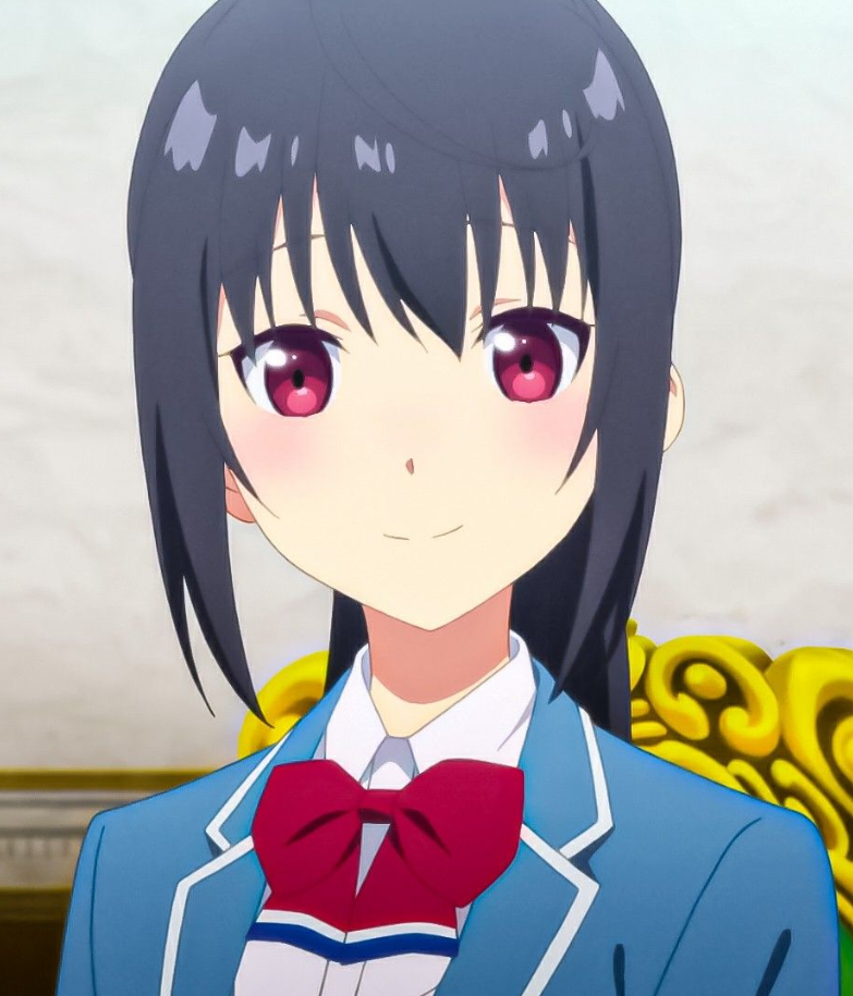 Mamoru Aikawa (Anime)