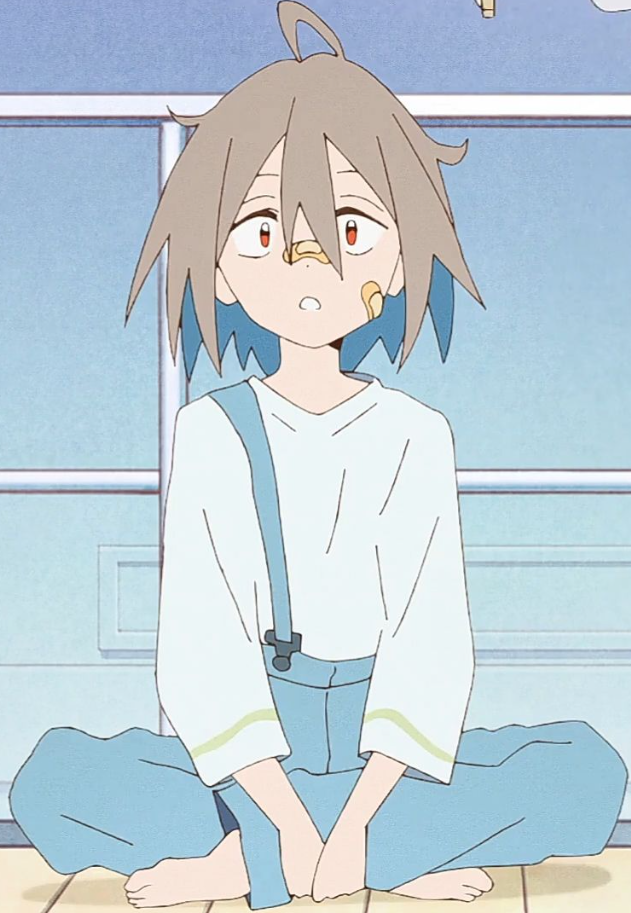 Mamoru Aikawa (Anime)