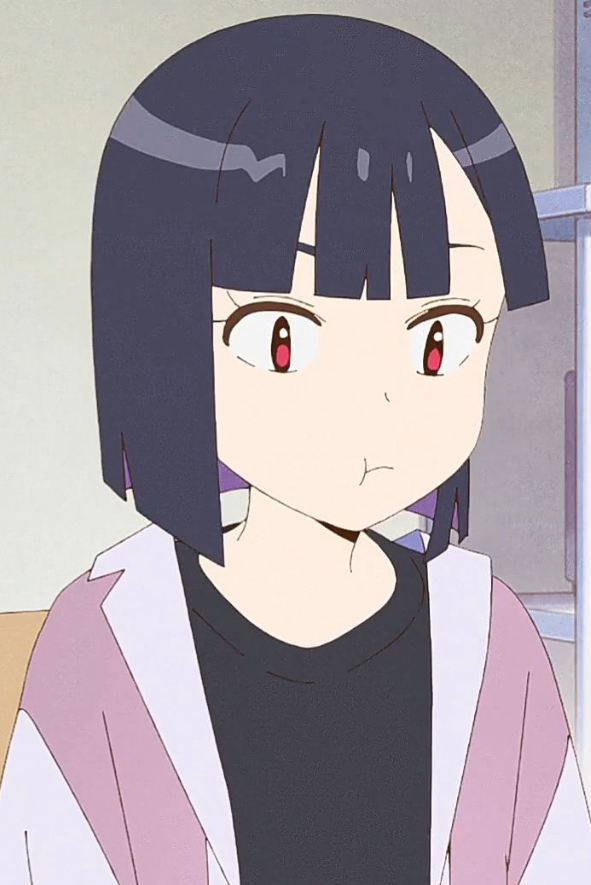 Mamoru Aikawa (Anime)