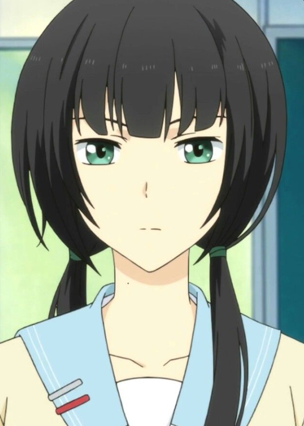 Mamoru Aikawa (Anime)