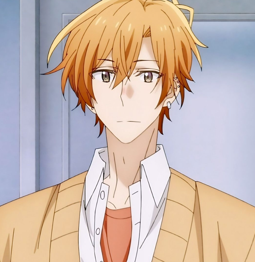 Mamoru Aikawa (Anime)