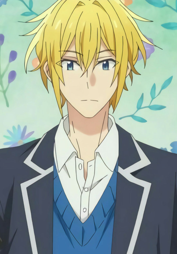 Mamoru Aikawa (Anime)