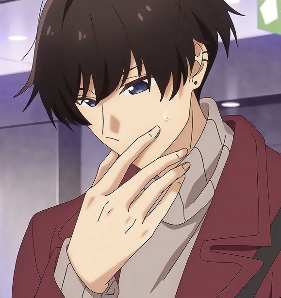 Mamoru Aikawa (Anime)