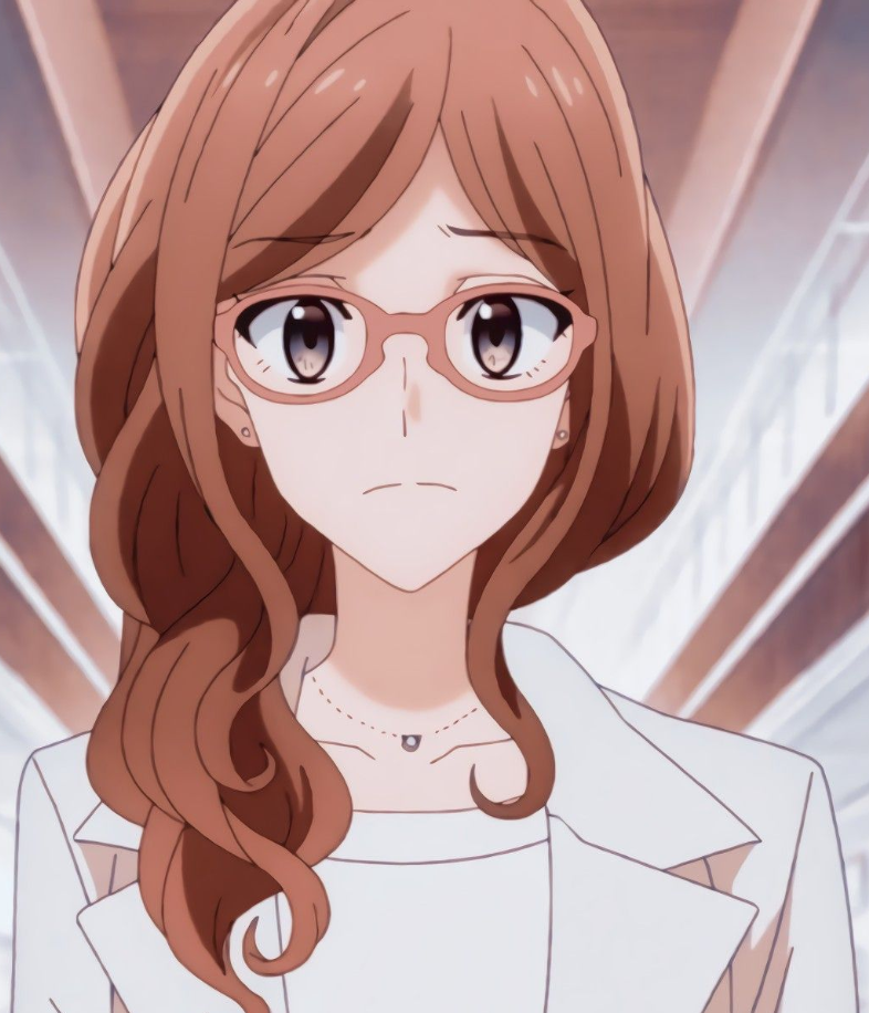 Mamoru Aikawa (Anime)