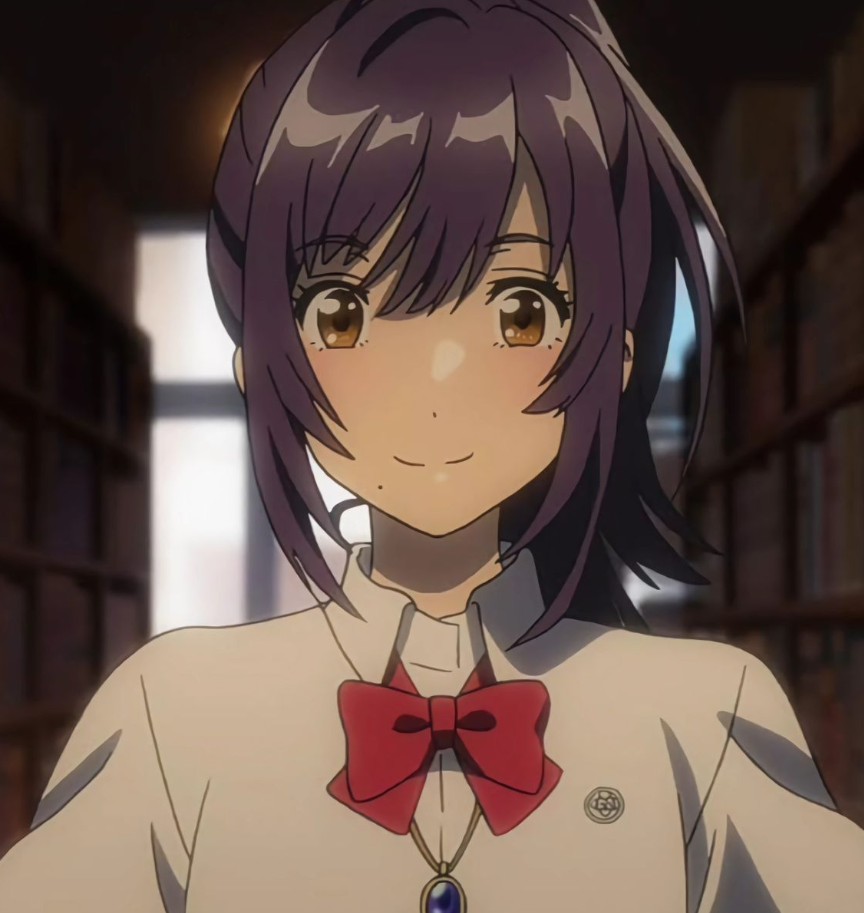 Mamoru Aikawa (Anime)