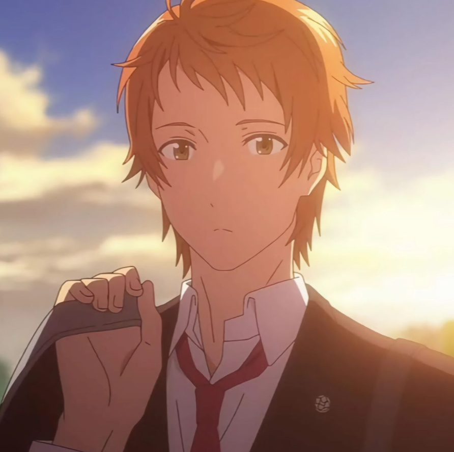 Mamoru Aikawa (Anime)