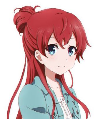 Mamoru Aikawa (Anime)