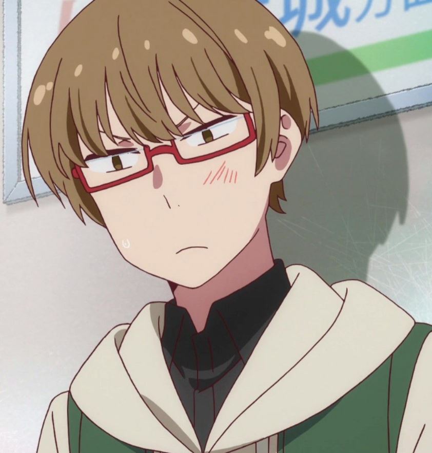 Mamoru Aikawa (Anime)