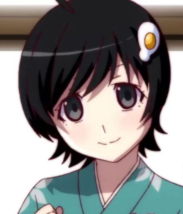 Mamoru Aikawa (Anime)