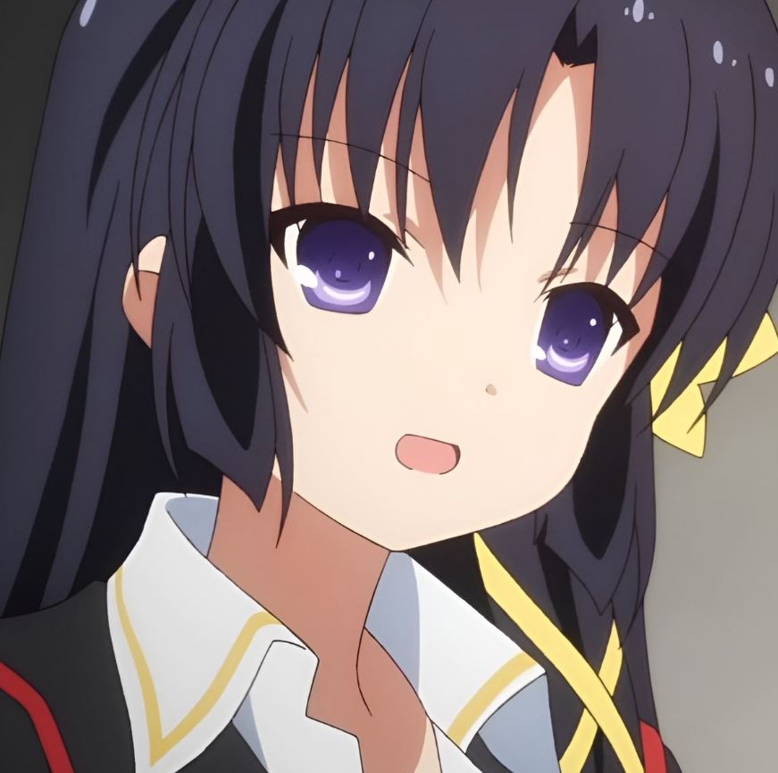 Mamoru Aikawa (Anime)