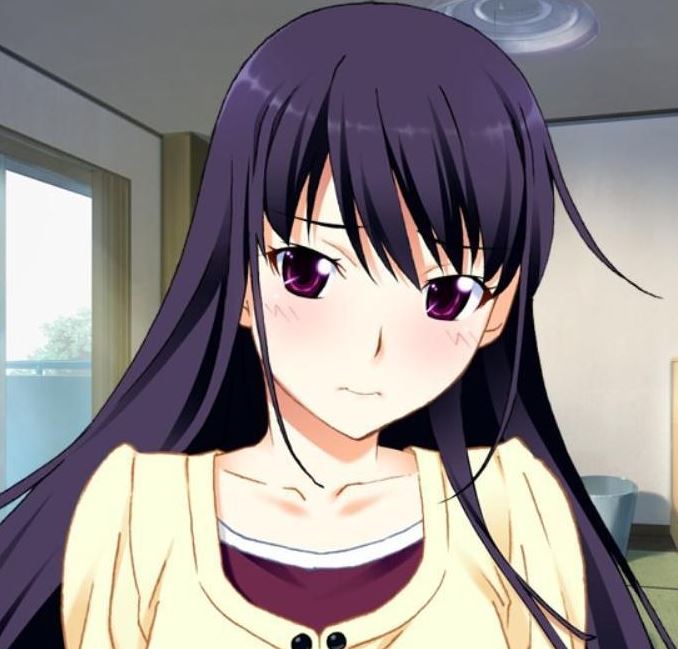 Mamoru Aikawa (Anime)