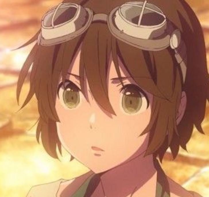 Mamoru Aikawa (Anime)