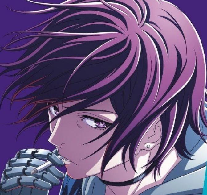 Mamoru Aikawa (Anime)