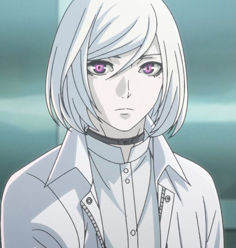 Mamoru Aikawa (Anime)