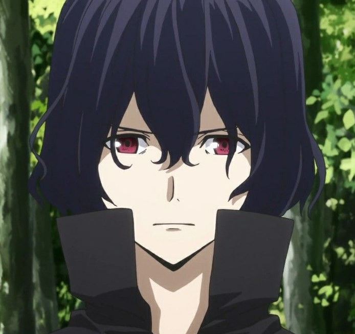 Mamoru Aikawa (Anime)