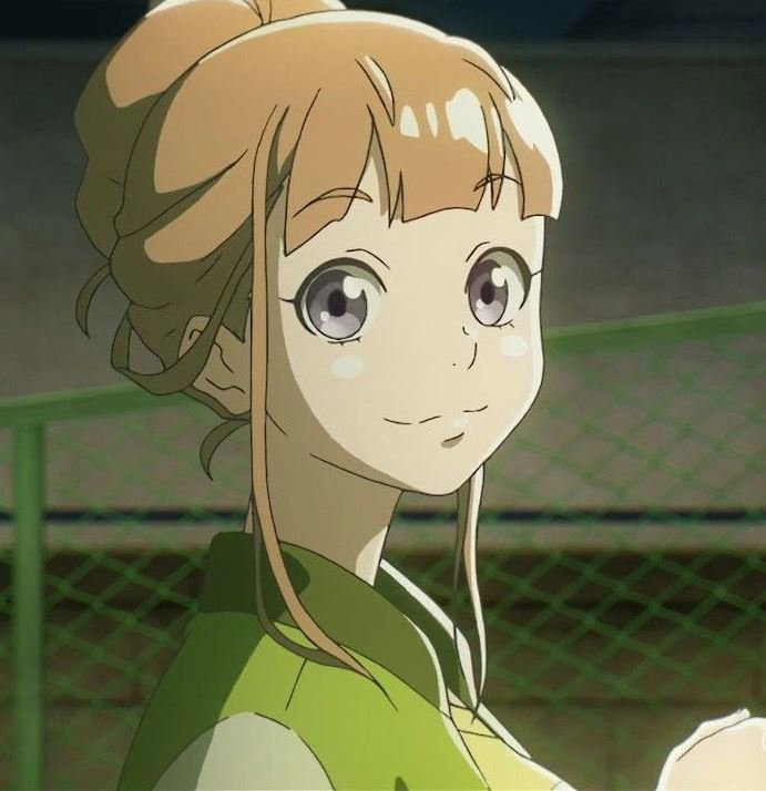 Mamoru Aikawa (Anime)