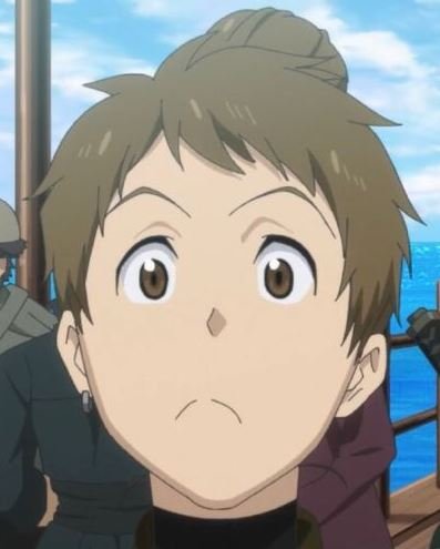 Mamoru Aikawa (Anime)