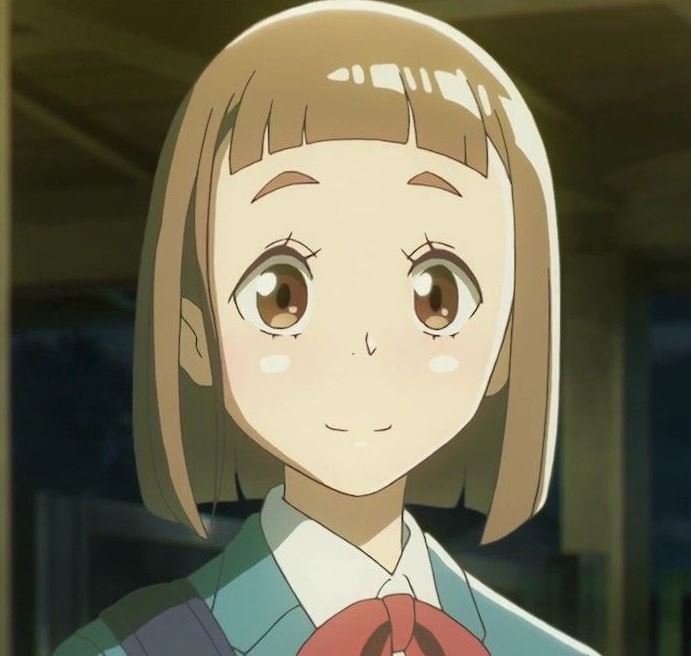 Mamoru Aikawa (Anime)