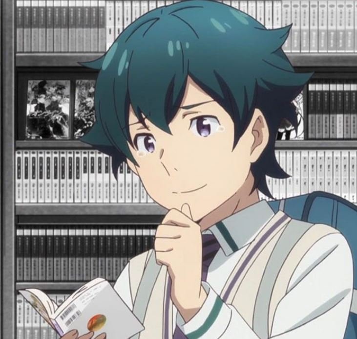 Mamoru Aikawa (Anime)
