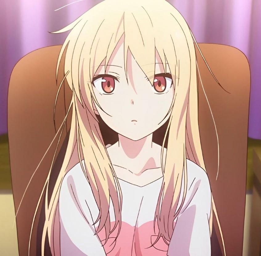 Mamoru Aikawa (Anime)