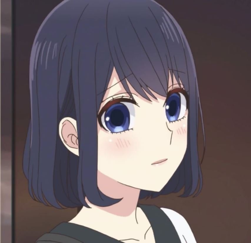 Mamoru Aikawa (Anime)