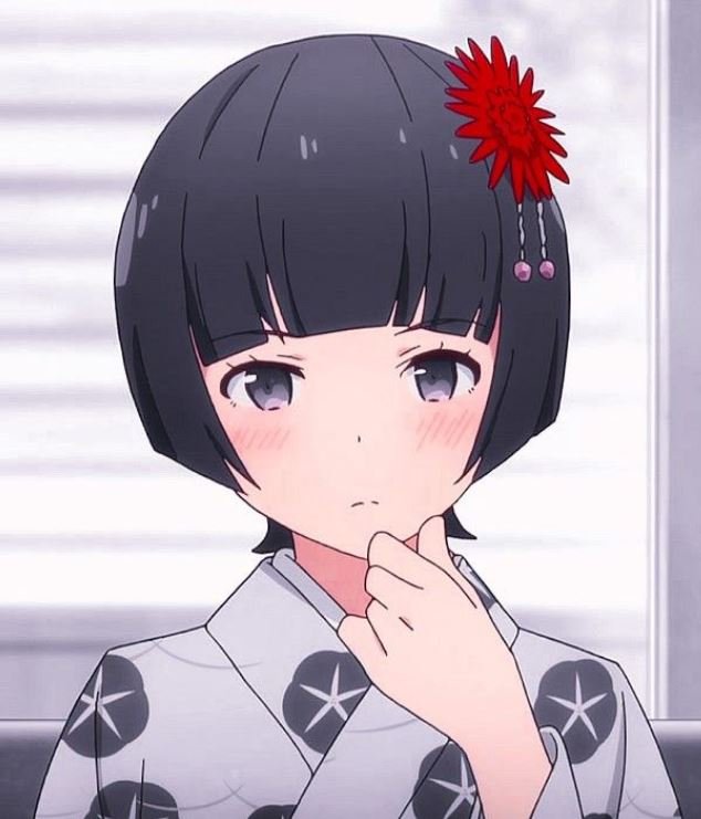Mamoru Aikawa (Anime)