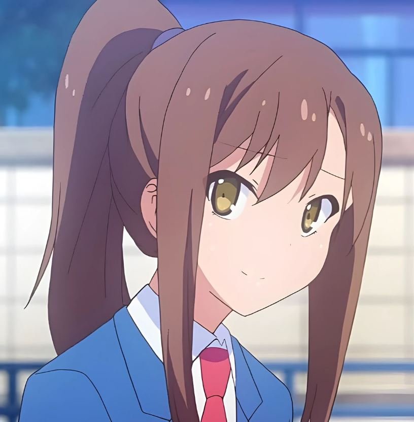 Mamoru Aikawa (Anime)