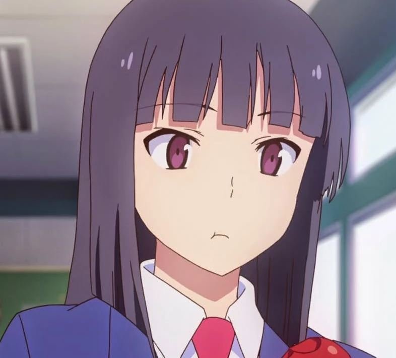 Mamoru Aikawa (Anime)