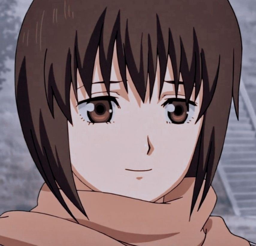 Mamoru Aikawa (Anime)