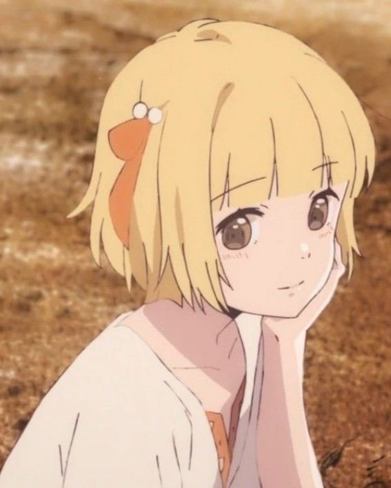 Mamoru Aikawa (Anime)