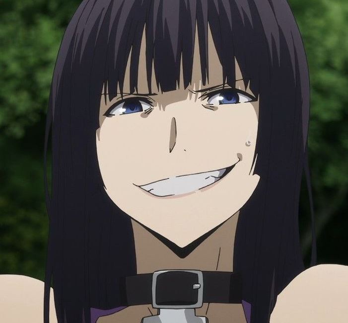 Mamoru Aikawa (Anime)