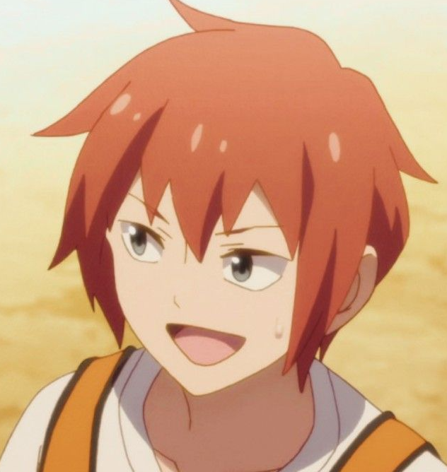 Mamoru Aikawa (Anime)